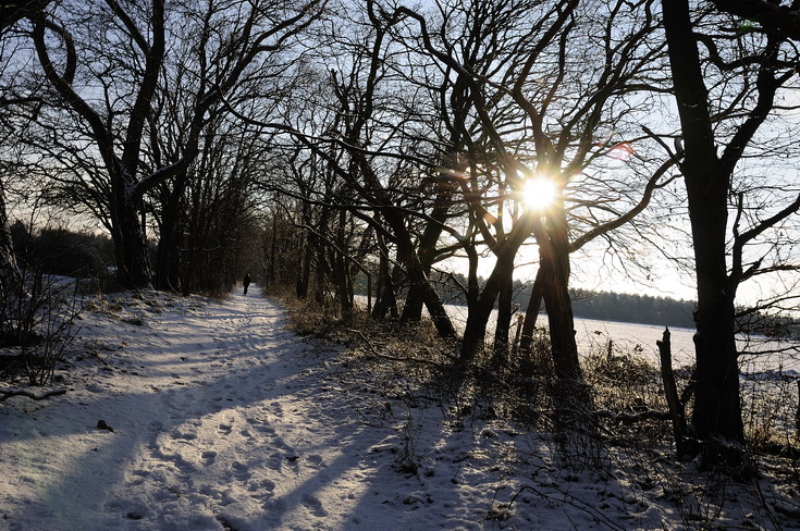 02. Winterlandschap_XL